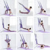 Door Yoga Hammock
